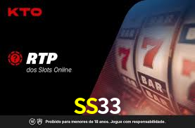 SS33