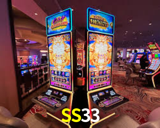 SS33