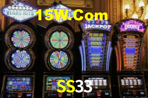 SS33